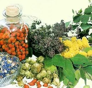 Folk remedies against parasites